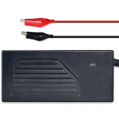 DC HOUSE Chargeur de batterie au lithium 4 A 12 V 4 A 14,6 V automatique intelligent avec activation automatique BMS Maintenance pour batterie à décharge profonde de voiture moto marine DC HOUSE Chargeur de batterie au lithium 4 A 12 V 4 A 14,6 V automatique intelligent avec activation automatique BMS Maintenance pour batterie à décharge profonde de voiture moto marine