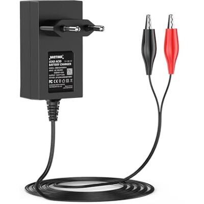 NASTIMA Chargeur au plomb scellé 6 V 0,5 A pour batterie Moultrie avec clip rouge et noir et voyant LED NASTIMA Chargeur au plomb scellé 6 V 0,5 A pour batterie Moultrie avec clip rouge et noir et voyant LED