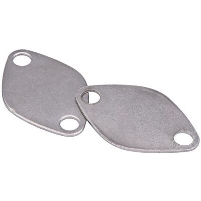 Keenso Joint d'Etanchéité, Kit de Plaque d'Obturation de Vanne en Acier Inoxydable pour Espace Laguna Master 2.2 2.5 dCi Keenso Joint d'Etanchéité, Kit de Plaque d'Obturation de Vanne en Acier Inoxydable pour Espace Laguna Master 2.2 2.5 dCi
