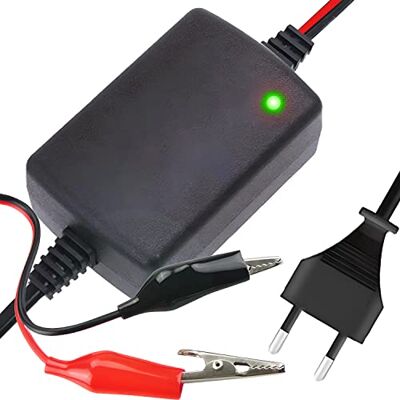 Retoo Chargeur de Batterie 12V 1.5A Chargeur de Batterie Gel Voiture pour Voitures Classiques, Motos, Scooters, tondeuses à Gazon, Bateaux, camions, Voitures, caravanes, Batteries de Voiture Retoo Chargeur de Batterie 12V 1.5A Chargeur de Batterie Gel Voiture pour Voitures Classiques, Motos, Scooters, tondeuses à Gazon, Bateaux, camions, Voitures, caravanes, Batteries de Voiture