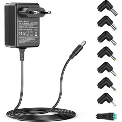 NASTIMA Chargeur 12V 1A pour Voiture Électrique pour Enfants Pour Voiture Électrique pour Enfants, SUV ATV, moto, etc., Chargeur Universel 12V avec Voyant Lumineux, Équipé de 8 Types de Convertisseurs NASTIMA Chargeur 12V 1A pour Voiture Électrique pour Enfants Pour Voiture Électrique pour Enfants, SUV ATV, moto, etc., Chargeur Universel 12V avec Voyant Lumineux, Équipé de 8 Types de Convertisseurs