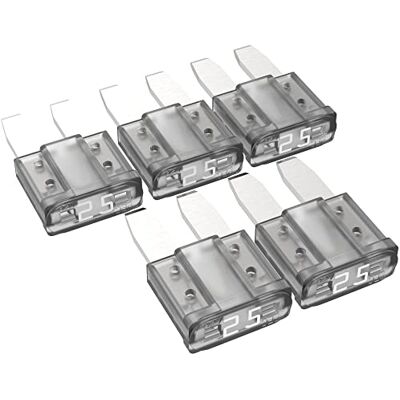 AUPROTEC Micro 2 Fusibles à lame MikrOTO II 5A 30A fusible enfichable d'automobile choix : 25A ampère blanc, 5 pcs AUPROTEC Micro 2 Fusibles à lame MikrOTO II 5A 30A fusible enfichable d'automobile choix : 25A ampère blanc, 5 pcs