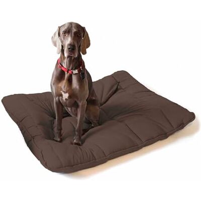 Groupon Maxi Coussin pour Chiens et Chats - Coussin Groupon Maxi Coussin pour Chiens et Chats - Coussin