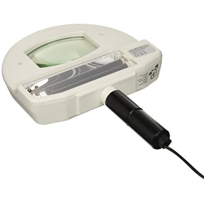 GIMA Mimsal 31196 Raccord, bois, Vista, lampe 230 V GIMA Mimsal 31196 Raccord, bois, Vista, lampe 230 V