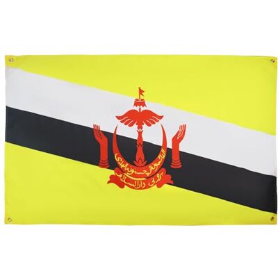 AZ FLAG Drapeau Brunei 150x90 cm avec 4 oeillets, Pavillon Brunéien pour balcon ou mur AZ FLAG Drapeau Brunei 150x90 cm avec 4 oeillets, Pavillon Brunéien pour balcon ou mur