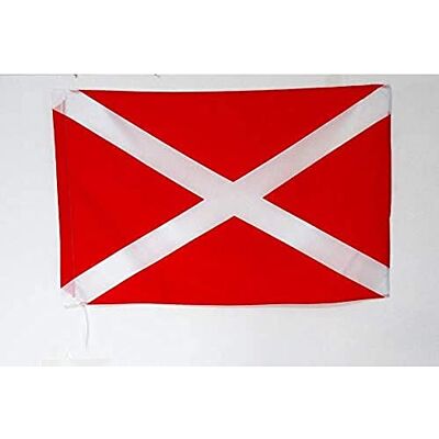 AZ FLAG Drapeau Rouge avec Croix de Saint-André Blanche 90x60cm Drapeau de commissaire 60 x 90 cm Fourreau pour hampe AZ FLAG Drapeau Rouge avec Croix de Saint-André Blanche 90x60cm Drapeau de commissaire 60 x 90 cm Fourreau pour hampe