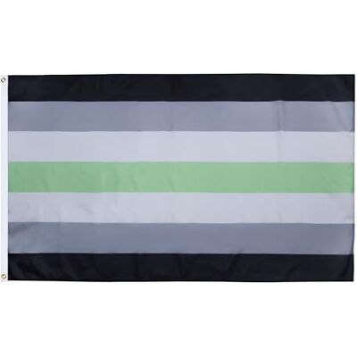 AZ FLAG Drapeau LGBT Fierté agenre 90x60 cm Polyester 100D 2 Œillets AZ FLAG Drapeau LGBT Fierté agenre 90x60 cm Polyester 100D 2 Œillets