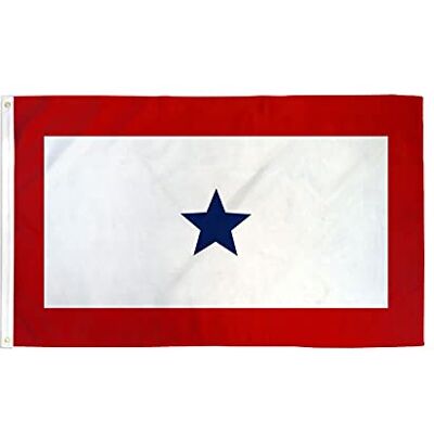 AZ FLAG Drapeau Etats-Unis Blue Star Service 90x60 cm 2 Œillets Usage intérieur et extérieur Drapeau décoratif service banner américain Blue Star Service 1 avec œillets métalliques AZ FLAG Drapeau Etats-Unis Blue Star Service 90x60 cm 2 Œillets Usage intérieur et extérieur Drapeau décoratif service banner américain Blue Star Service 1 avec œillets métalliques