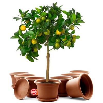BigDean Lot de 8 pots de fleurs ronds avec soucoupe Diamètre : 35 cm Terracotta Résistant aux intempéries BigDean Lot de 8 pots de fleurs ronds avec soucoupe Diamètre : 35 cm Terracotta Résistant aux intempéries