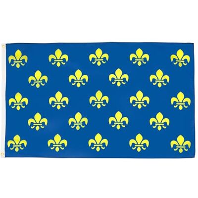 AZ FLAG Drapeau Fleur de Lys Bleu et Or 90x60 cm Polyester 100D 2 Œillets AZ FLAG Drapeau Fleur de Lys Bleu et Or 90x60 cm Polyester 100D 2 Œillets