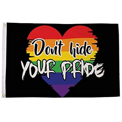 AZ FLAG Drapeau Arc En Ciel Ne cachez pas votre fierté 90x60 cm 2 Œillets Usage intérieur et extérieur Drapeau décoratif gay coutures doubles et bords renforcés avec œillets métalliques AZ FLAG Drapeau Arc En Ciel Ne cachez pas votre fierté 90x60 cm 2 Œillets Usage intérieur et extérieur Drapeau décoratif gay coutures doubles et bords renforcés avec œillets métalliques