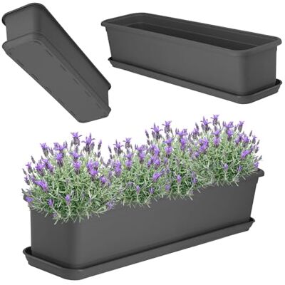 KADAX Jardinière de 60 cm anthracite avec soucoupe – Jardinière de balcon en plastique pour intérieur et extérieur Pot de fleurs pour balcon, terrasse, rebord de fenêtre KADAX Jardinière de 60 cm anthracite avec soucoupe – Jardinière de balcon en plastique pour intérieur et extérieur Pot de fleurs pour balcon, terrasse, rebord de fenêtre
