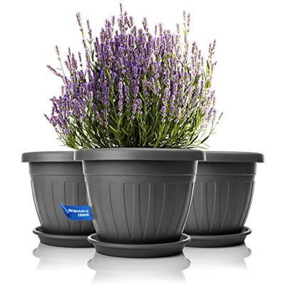 BigDean Lot de 3 pots de fleurs ronds avec soucoupe Ø 40 x H 31 cm Anthracite – Pot de fleurs résistant aux intempéries – Évacuation de l'eau en plastique incassable – Convient pour l'intérieur et l'extérieur – Fabriqué en Europe BigDean Lot de 3 pots de fleurs ronds avec soucoupe Ø 40 x H 31 cm Anthracite – Pot de fleurs résistant aux intempéries – Évacuation de l'eau en plastique incassable – Convient pour l'intérieur et l'extérieur – Fabriqué en Europe