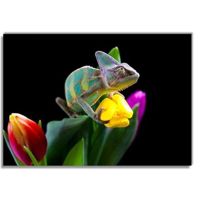 Wallario Poster autocollant Caméléon dans la mer de fleurs Autocollant de qualité supérieure Film adhésif Dimensions : 70 x 100 cm (poster géant) Wallario Poster autocollant Caméléon dans la mer de fleurs Autocollant de qualité supérieure Film adhésif Dimensions : 70 x 100 cm (poster géant)