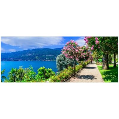 Wallario Poster Promenade des fleurs sur la rive du lac de qualité supérieure, dimensions : 50 x 125 cm Wallario Poster Promenade des fleurs sur la rive du lac de qualité supérieure, dimensions : 50 x 125 cm