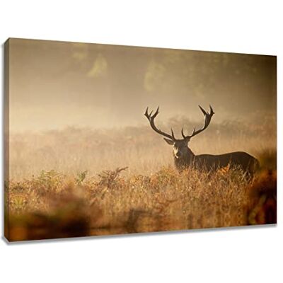 Visario 4030 Tableau sur toile motif cerf (80 x 60 cm) Visario 4030 Tableau sur toile motif cerf (80 x 60 cm)