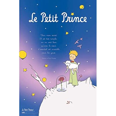 Close Up Le Petit Prince Poster Le Petit Prince (61 cm x 91,5 cm) + Poster de U Close Up Le Petit Prince Poster Le Petit Prince (61 cm x 91,5 cm) + Poster de U