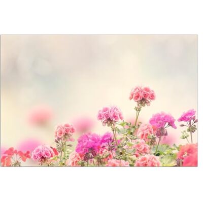 Wallario Poster autocollant – Fleurs délicates en rose, autocollant de qualité supérieure, film adhésif Dimensions : 61 x 91,5 cm (grand poster) Wallario Poster autocollant – Fleurs délicates en rose, autocollant de qualité supérieure, film adhésif Dimensions : 61 x 91,5 cm (grand poster)