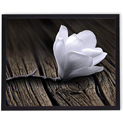 postergaleria Tableau dans cadre Affiche Moderne Mur Artistique Différents thèmes 40 x 50 cm (magnolia blanc) postergaleria Tableau dans cadre Affiche Moderne Mur Artistique Différents thèmes 40 x 50 cm (magnolia blanc)
