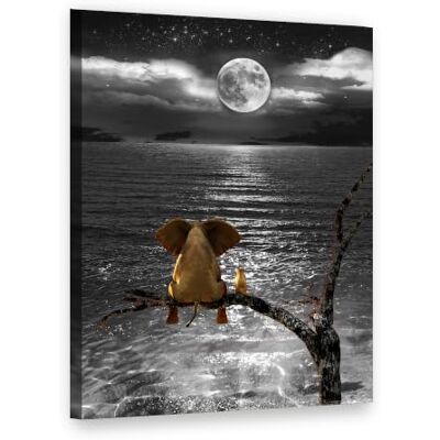 Visario Tableau sur toile 60x80 cm 4022 Éléphant et souris sous la pleine lune au bord de la mer (format portrait) Toile tendue sur châssis en bois Visario Tableau sur toile 60x80 cm 4022 Éléphant et souris sous la pleine lune au bord de la mer (format portrait) Toile tendue sur châssis en bois