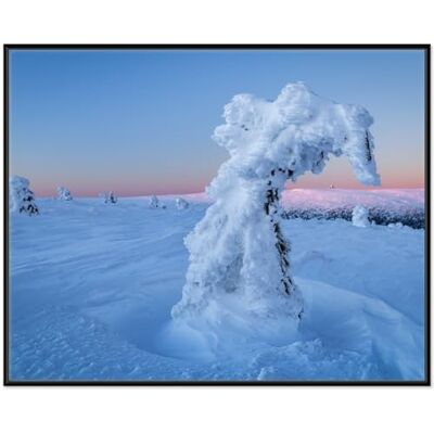 Wallario Sculpture de neige murale de qualité supérieure avec cadre noir, taille : 40 x 50 cm Wallario Sculpture de neige murale de qualité supérieure avec cadre noir, taille : 40 x 50 cm
