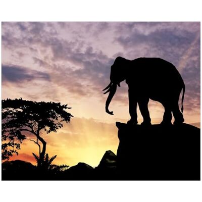 Wallario Poster Éléphant devant le ciel du soir de qualité supérieure Dimensions : 40 x 50 cm Wallario Poster Éléphant devant le ciel du soir de qualité supérieure Dimensions : 40 x 50 cm