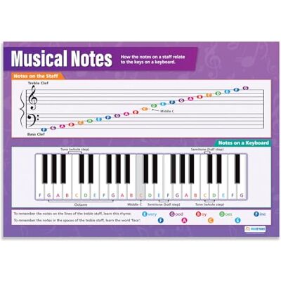 Daydream Education Notes de musique Affiches musicales Papier brillant laminé mesurant 850 mm x 594 mm (A1) Tableaux musicaux pour la salle de classe Tableaux éducatifs Daydream Education Notes de musique Affiches musicales Papier brillant laminé mesurant 850 mm x 594 mm (A1) Tableaux musicaux pour la salle de classe Tableaux éducatifs