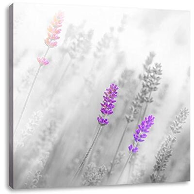 Pixxprint belle lavande toile Photo Place Taille: 40x40 cm Décoration murale Impression artistique Entièrement assemblé Pixxprint belle lavande toile Photo Place Taille: 40x40 cm Décoration murale Impression artistique Entièrement assemblé