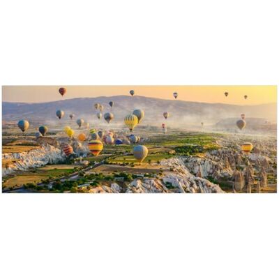 Wallario Poster autocollant Montgolfières sur le paysage rocheux, autocollant de qualité supérieure, film adhésif taille : 50 x 125 cm Wallario Poster autocollant Montgolfières sur le paysage rocheux, autocollant de qualité supérieure, film adhésif taille : 50 x 125 cm