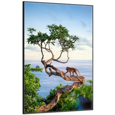 Wallario Poster Singe sur arbre de qualité supérieure avec cadre noir, dimensions : 61 x 91,5 cm Wallario Poster Singe sur arbre de qualité supérieure avec cadre noir, dimensions : 61 x 91,5 cm