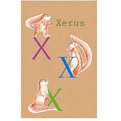 Affiche murale artistique Komar - abc animal x - 50x70cm Affiche murale artistique Komar - abc animal x - 50x70cm