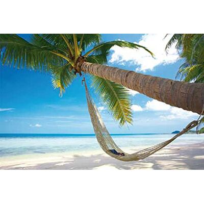 empireposter Beaches Chill Out Paradise Poster photo plage palmiers mer paradis Dimensions : 91,5 x 61 cm empireposter Beaches Chill Out Paradise Poster photo plage palmiers mer paradis Dimensions : 91,5 x 61 cm