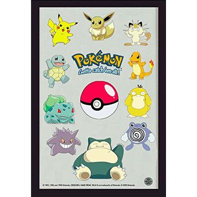 empireposter Miroir imprimé Pokémon Groupe Pokémon avec cadre en plastique 20 x 30 cm empireposter Miroir imprimé Pokémon Groupe Pokémon avec cadre en plastique 20 x 30 cm