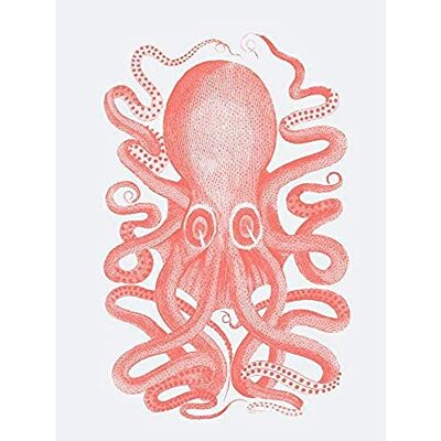 Wee Blue Coo Living Coral Octopus Unframed Art Print Poster Wall Decor 12x16 inch Affiche Mur Déco Wee Blue Coo Living Coral Octopus Unframed Art Print Poster Wall Decor 12x16 inch Affiche Mur Déco