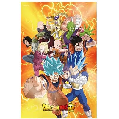 SD TOYS Poster 3D universel Survival Heroes Dragon Ball Super Dimensions 38 x 58 cm SD TOYS Poster 3D universel Survival Heroes Dragon Ball Super Dimensions 38 x 58 cm