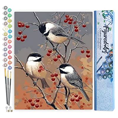 Peinture par numéros pour adultes oiseaux et arbres fruitiers 40,6 x 50,8 cm – Kit de peinture artistique sur toile roulée sans cadre Peinture par numéros pour adultes oiseaux et arbres fruitiers 40,6 x 50,8 cm – Kit de peinture artistique sur toile roulée sans cadre