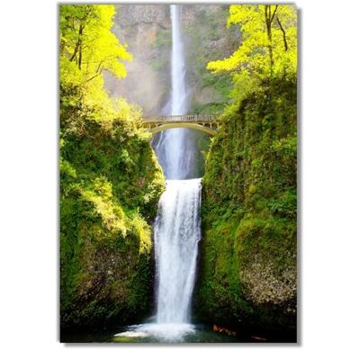 Wallario Poster autocollant Pont au-dessus de la cascade Film adhésif de qualité supérieure Dimensions : 70 x 100 cm (poster géant) Wallario Poster autocollant Pont au-dessus de la cascade Film adhésif de qualité supérieure Dimensions : 70 x 100 cm (poster géant)