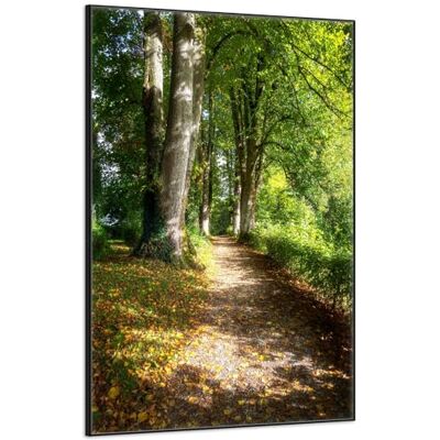 Wallario Poster de qualité supérieure Chemin au soleil Cadre noir 61 x 91,5 cm Wallario Poster de qualité supérieure Chemin au soleil Cadre noir 61 x 91,5 cm