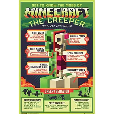 GB eye Poster Minecraft Creepy Behaivor GB eye Poster Minecraft Creepy Behaivor
