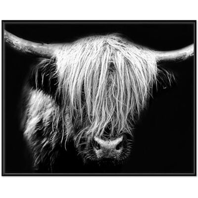 Wallario Highlander Tableau mural en noir et blanc de qualité supérieure avec cadre noir 40 x 50 cm Wallario Highlander Tableau mural en noir et blanc de qualité supérieure avec cadre noir 40 x 50 cm
