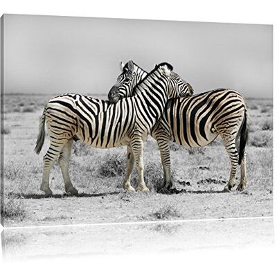 Pixxprint Zebras in de savanne Photo Canvas Taille: 120x80 cm Décoration murale Impression artistique Entièrement assemblé Pixxprint Zebras in de savanne Photo Canvas Taille: 120x80 cm Décoration murale Impression artistique Entièrement assemblé
