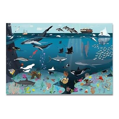 Close Up Poster du monde sous-marin XL pour enfants avec objets dessinés à la main Créatures marines avec désignation Image cachée à découvrir 170 g/m² 91,5 x 61 cm Close Up Poster du monde sous-marin XL pour enfants avec objets dessinés à la main Créatures marines avec désignation Image cachée à découvrir 170 g/m² 91,5 x 61 cm