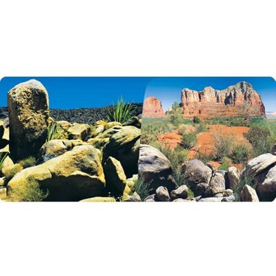 REPTILES-PLANET.COM PROFESSIONAL REPTILES PRODUCTS Reptiles Planet Desert Terrarium Affiche avec 2 Côtés, 15m Rouler, 40cm Hauteur REPTILES-PLANET.COM PROFESSIONAL REPTILES PRODUCTS Reptiles Planet Desert Terrarium Affiche avec 2 Côtés, 15m Rouler, 40cm Hauteur