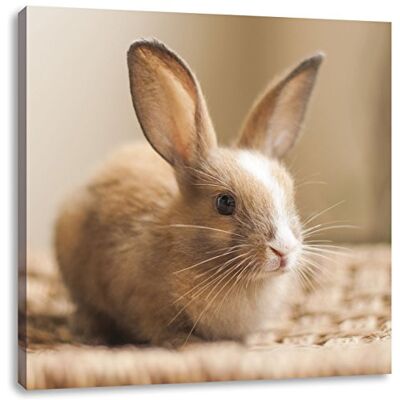 Pixxprint lapin chéri Toile Photo Place Taille: 40x40 cm Décoration murale Impression artistique Entièrement assemblé Pixxprint lapin chéri Toile Photo Place Taille: 40x40 cm Décoration murale Impression artistique Entièrement assemblé