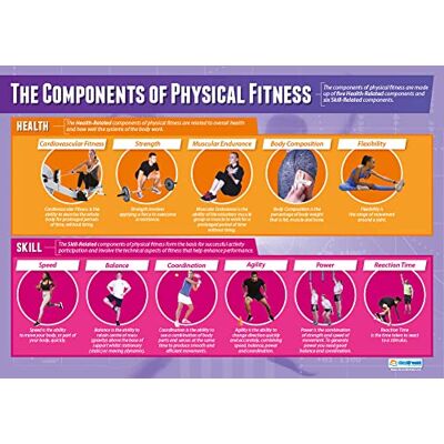 Daydream Education Affiche éducative Components of Physical Fitness (physique) pour cours de sport, salle de classe, papier laminé brillant 850 x 594 mm (A1) Daydream Education Affiche éducative Components of Physical Fitness (physique) pour cours de sport, salle de classe, papier laminé brillant 850 x 594 mm (A1)