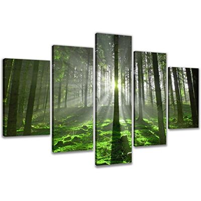 Visario 6312 Impression sur toile Motif forêt prête à l'emploi 5 pièces 200 x 100 cm Visario 6312 Impression sur toile Motif forêt prête à l'emploi 5 pièces 200 x 100 cm