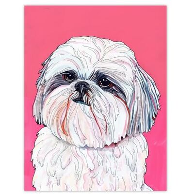 Artery8 Adorable Shih Tzu Dog Lover Portrait Rose vif Salon Grande affiche murale Papier épais 45,7 x 61 cm Artery8 Adorable Shih Tzu Dog Lover Portrait Rose vif Salon Grande affiche murale Papier épais 45,7 x 61 cm