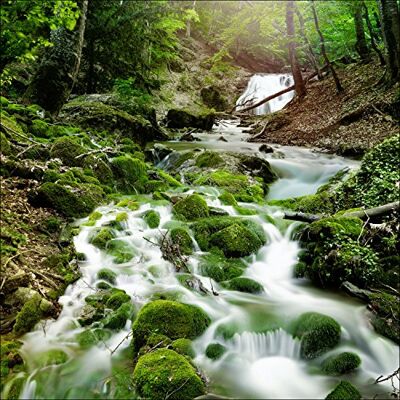 ART gla985b Mystic Ways Cadre Mural en Verre Motif ruisseau/sous-Bois Dimensions 50 x 50 cm ART gla985b Mystic Ways Cadre Mural en Verre Motif ruisseau/sous-Bois Dimensions 50 x 50 cm