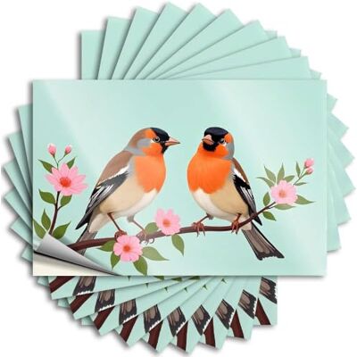 MZBS Deux oiseaux colorés perchés sur une branche en fleurs. Cadeaux de salle de bain Bon – Autocollant amusant pour bouteille étanche (12 x 18 cm) MZBS Deux oiseaux colorés perchés sur une branche en fleurs. Cadeaux de salle de bain Bon – Autocollant amusant pour bouteille étanche (12 x 18 cm)