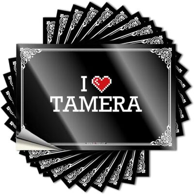 MZBS Étui décalcomanie amusant I Love Tamera Lot d'autocollants demi-longs (12 x 18 cm) MZBS Étui décalcomanie amusant I Love Tamera Lot d'autocollants demi-longs (12 x 18 cm)